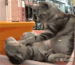 搞笑gif图5月30日醒醒吧兄弟午休时间早过了