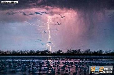 搞笑囧图(7月25日)如此魔性的表情 只有汪星人能做到