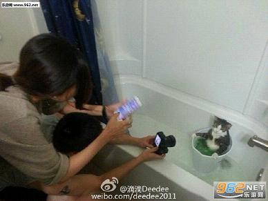 搞笑囧图(7月25日)如此魔性的表情 只有汪星人能做到