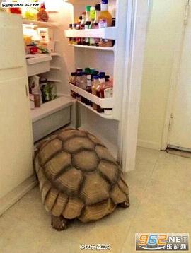 搞笑逋(6月18日)我要睡觉了 帮我关下灯谢谢首页_迷失传奇