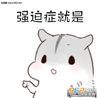 仓鼠强迫症表情包