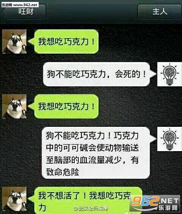 模拟狗狗微信对话聊天软件|主人与狗狗的对话