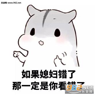 我老婆我惯的表情包高清无水印