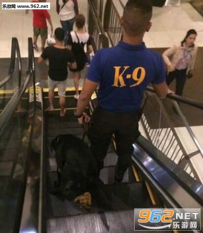 搞笑囧图(1月11日) 被前辈教训的奥特曼 莫名喜