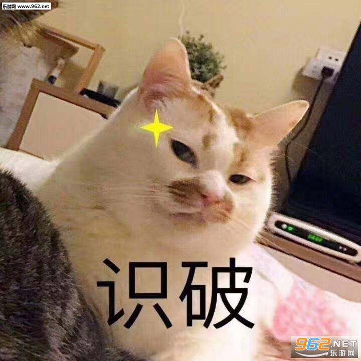 wink猫咪楼楼gif表情包动态图片大全|一大口亲