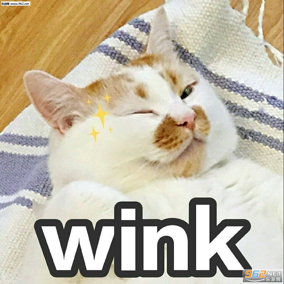 wink猫咪楼楼gif表情包动态图片大全|一大口亲