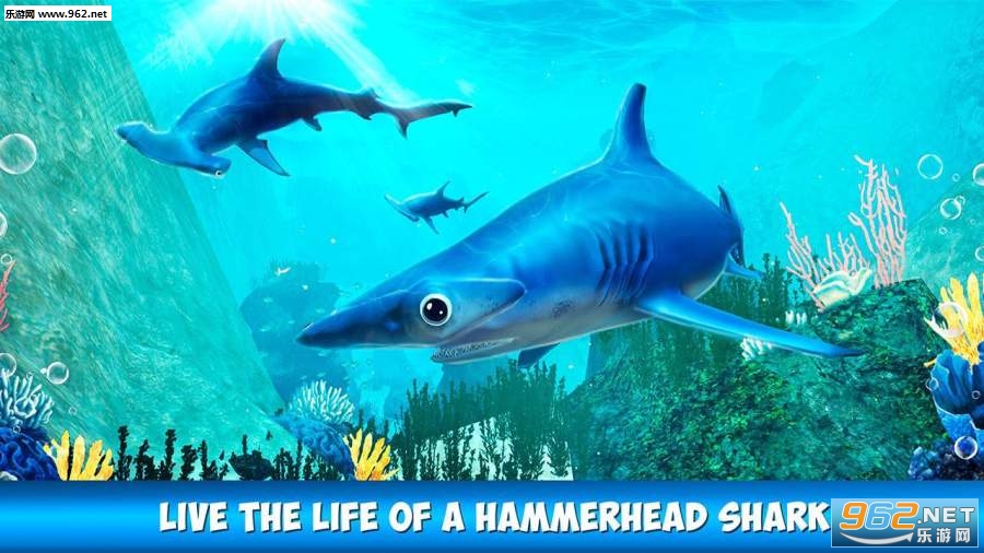 Hammerhead Shark Simulator 3D(N^ģM3D׿)v1.0.0؈D1