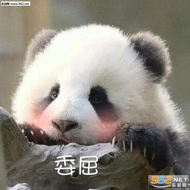 气到哭泣熊猫表情包图片