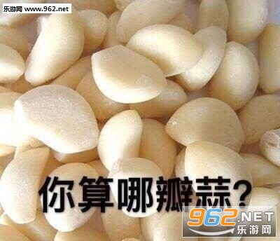 你算哪块小饼干可爱骂人表情包