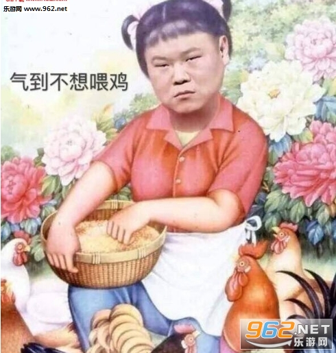 气到不想喂鸡是什么梗表情包|岳云鹏气到不想喂鸡表情包下载-乐游网游戏下载