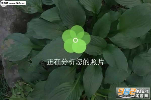 形色识花认草神器下载|形色app最新版下载v3.