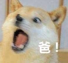 能给贫穷的小女儿跟爸妈要钱的表情包|能给贫