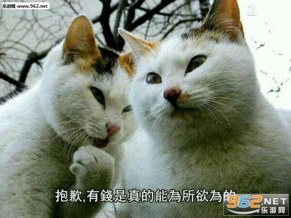 闭嘴老图片翻脸男人表情脸小黄动态包表情小qq图片