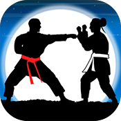 Karate Fighter : Real battles(ֵӰսʿ׿)