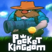 PocketKingdom(ڴİ)