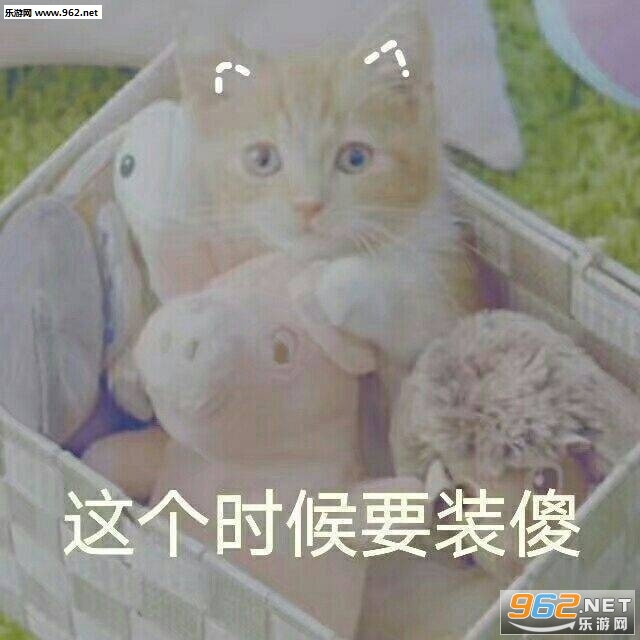 伺机杀死大佬表情包图片|你这个坏东西表情包