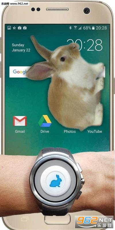 Bunny In Phone Cute joke(֙Cɐ۵ЦԒ׿)v1.1؈D2