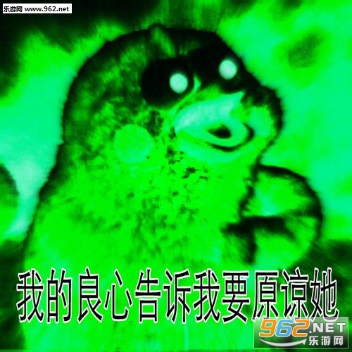 我的良心活蹦乱跳鹦鹉兄弟表情包-我的良心大大的黑包