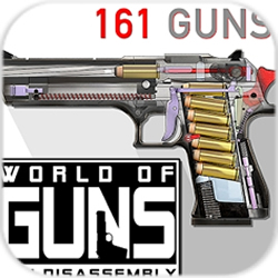World of Guns(ǹİ)
