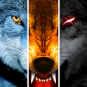 Wolf Onlineƽ°v2.5.7