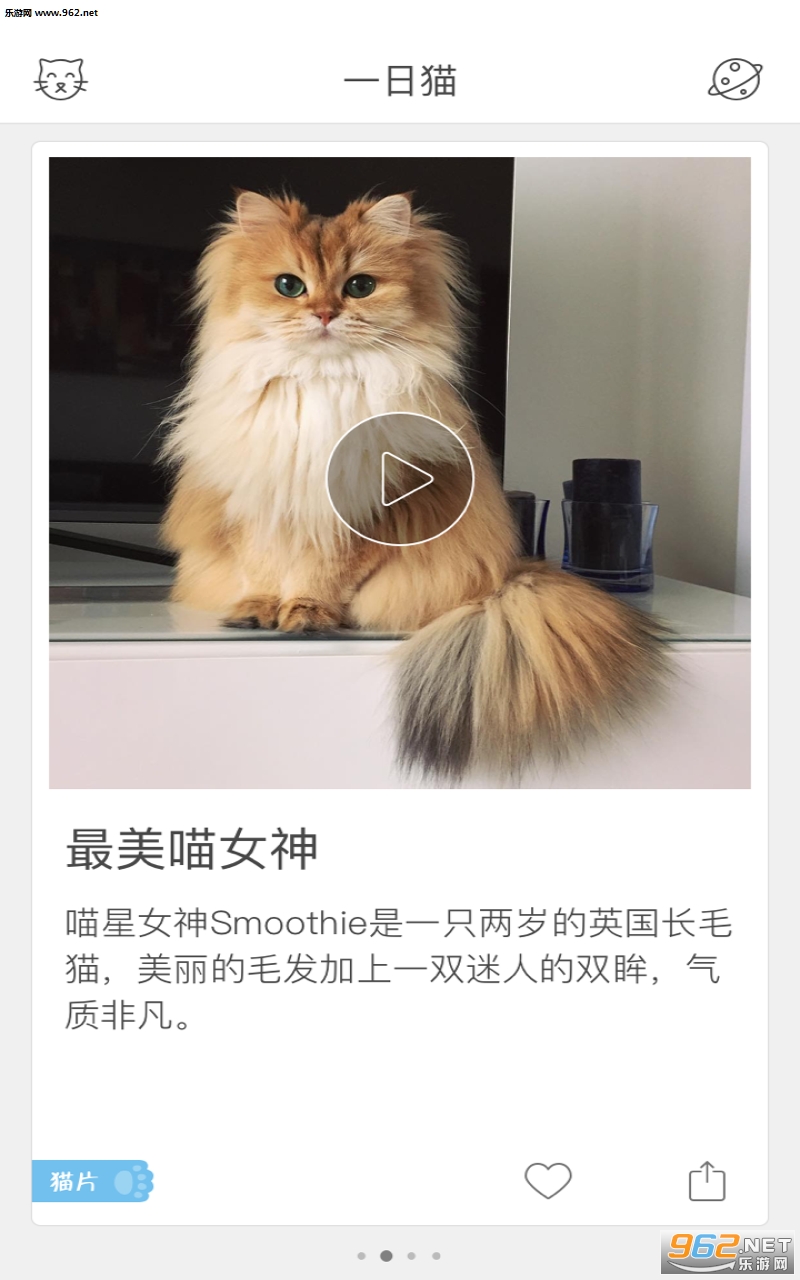 猫咪app官网下载