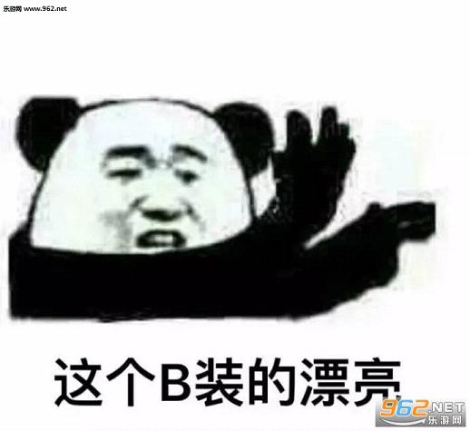 暴走熊猫嗨一嗨醒一醒表情包