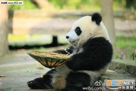 搞笑囧图(3月18日)震惊!长颈鹿被砍头之后竟然是这样