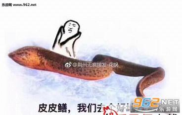 皮皮鳝我们走表情包高清无水印完整版