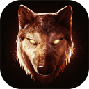 The Wolf(ȺϷİ)