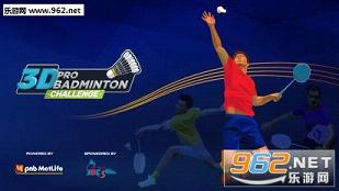 3Dרҵëս3D Pro Badminton Challengev1.0ͼ1