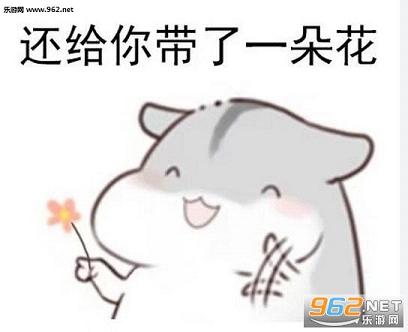 其他 → 我去要饭了表情包仓鼠版 我去要饭了表情包仓鼠版是一套萌萌