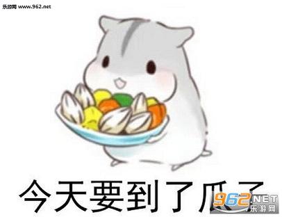 其他 → 我去要饭了表情包仓鼠版 我去要饭了表情包仓鼠版是一套萌萌