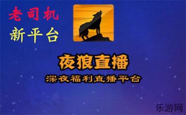 夜狼直播平台