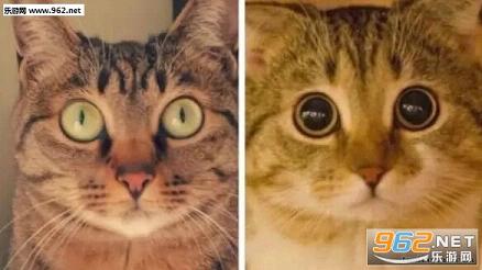 搞笑囧图(5月5日) 为什么每次打游戏人物都乱走呢完整页_乐游网