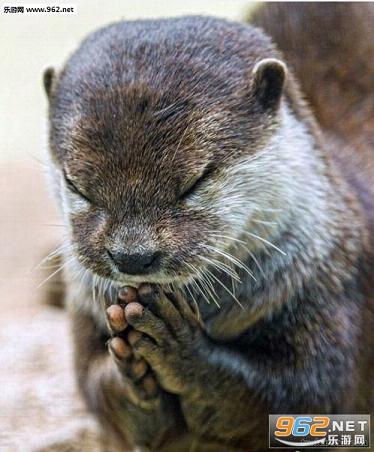 搞笑囧图(5月24日) 许个愿 逢考必过 逢赌必赢