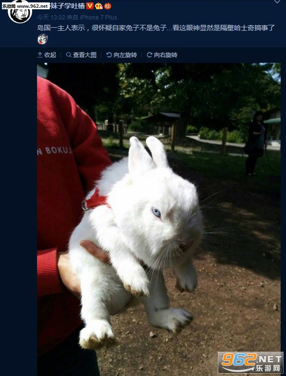 搞笑囧图(6月14日) 瞅我干啥 哈士奇兔子:瞅你咋地