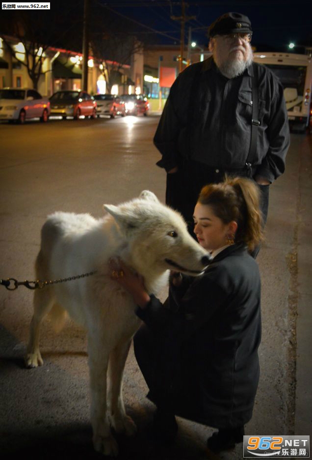 狗头猜成语是什么成语_疯狂猜成语一只狗头上冒星星是什么成语 正确答案一览(3)