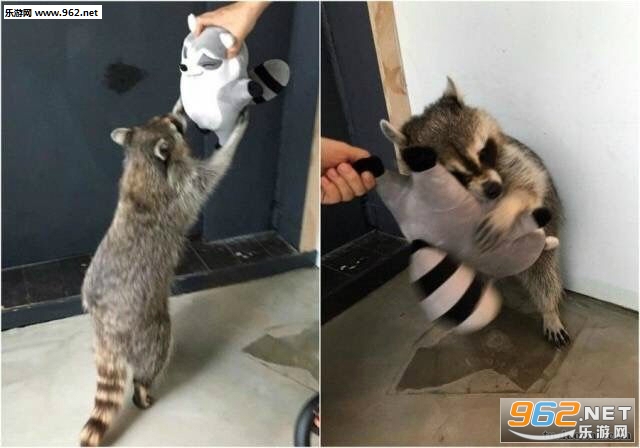 搞笑囧图(6月28日) 得到想要的礼物那一刻迷人的瞬间