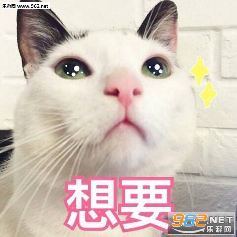 猫猫我想买这个你给我买表情包截图0