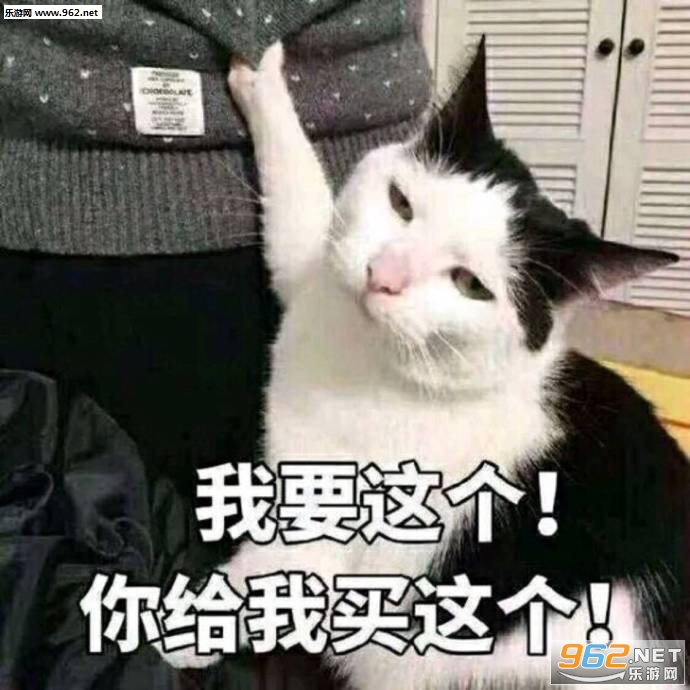 猫猫我想买这个你给我买表情包截图1