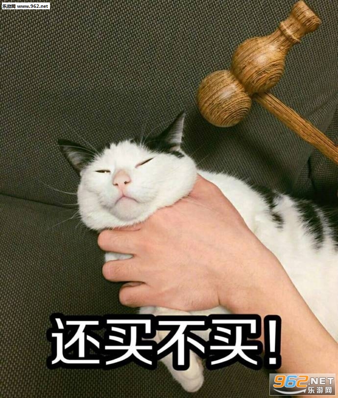 猫猫我想买这个你给我买表情包截图2