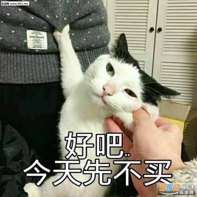 猫猫我想买这个你给我买表情包截图3