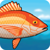 ܶ޽Ұ(Fishalot)v1.0.1