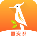 爱木投app