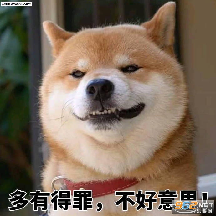 丑拒柴犬表情包带字图片-一个耿直的微笑柴犬表情包