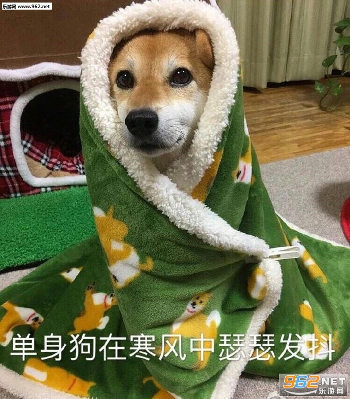 抱腿痛哭柴犬表情包图片|火速逃离虐狗现场表情包下载-乐游网游戏下载