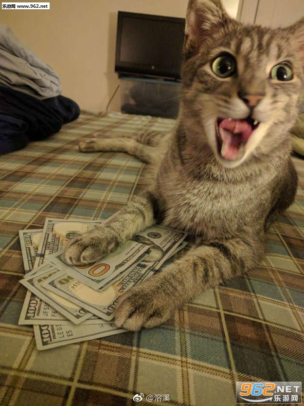 搞笑囧图(8月18日) 大学选对专业时间非常重要的事情