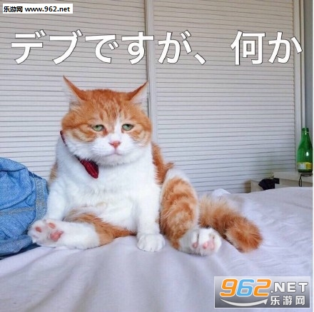 丧猫日语表情包无水印版下载-乐游网游戏下载