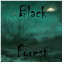 Black Forest(ɭְ׿)