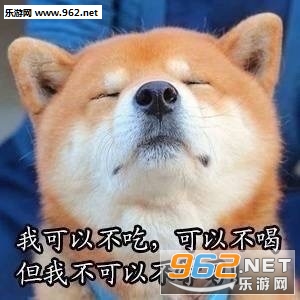 我还能再学一会柴犬表情包带字-美好的一天从学习开始